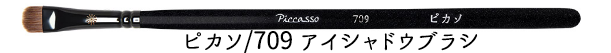 P-E709_banner.png
